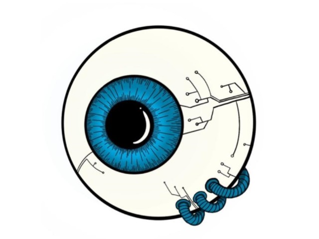 Pesquisa teve colaboração da USP, IFCE e UECE.